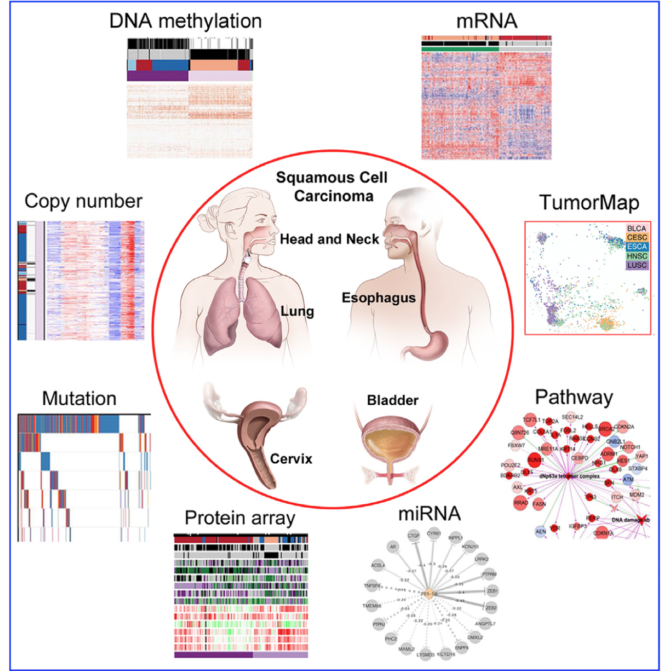 graphical abstract with illustrations of two humans and various data visualizations around them