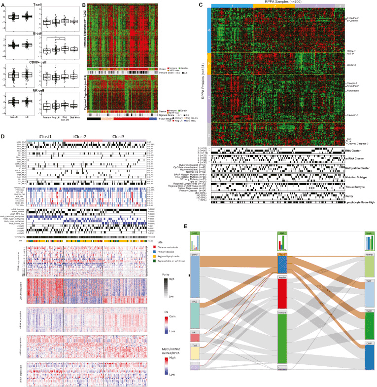 A figure with four panels showing box plots, heatmaps, and parallel sets plots.