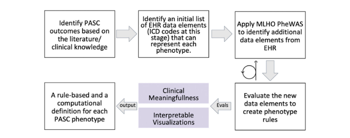 Figure 1: Overview of the Deductive Study Pipeline in Phase 1 of the Study