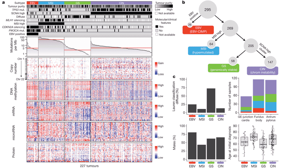A figure with three panels showing heatmaps, trees, bar charts, and box plots.