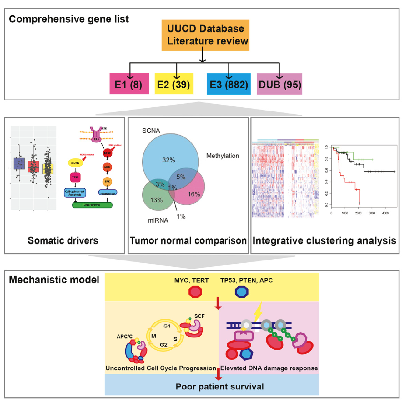 graphical abstract, main parts are: comprehensive gene list, somatic drivers, tumor normal comparison, integrative clustering analysis, mechanistic model