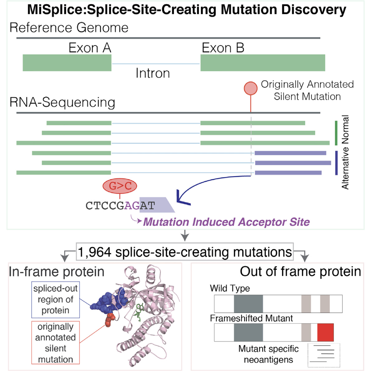 graphical abstract
