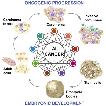 Graphical abstract. AI-driven analysis of cancer, highlighting parallels between oncogenic progression and embryonic development.