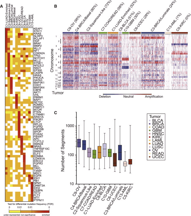 Two heatmaps and a box plot demonstrate the highly expressed levels of certain genes in a variety of cancer types.