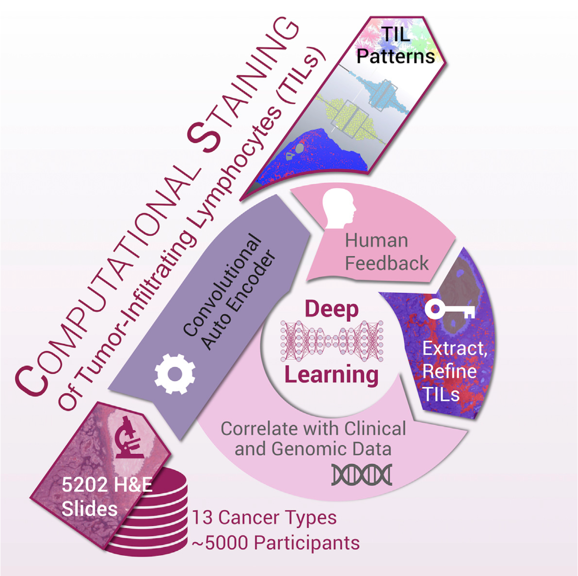 an infographic-like figure indicating a data processing pipeline with a loop in the middle
