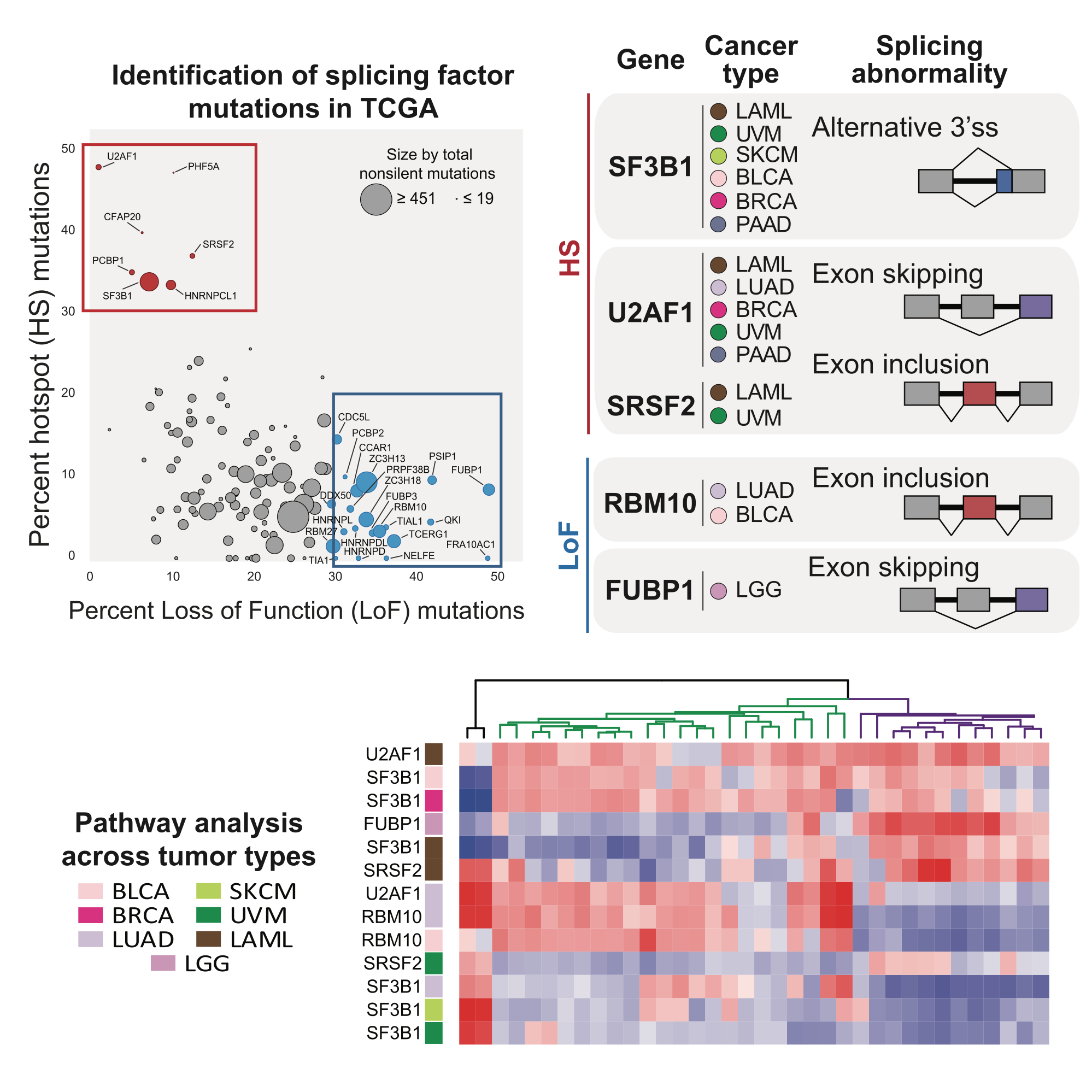 graphical abstract type of a figure, there's a scatterplot and a heatmat and a third graphic