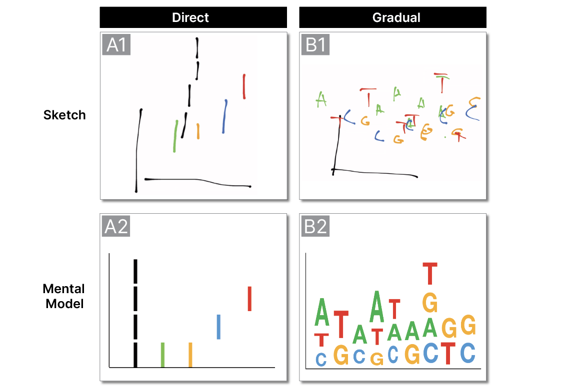 Two-by-two grid with sketches (top row) and schematics (bottom row) from a direct (left) and gradual (right) approach. The direct approach has a few black and colored vertical lines, the gradual one has colored letters (A, C, T, G) stacked on top, next to each other.