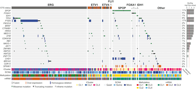 A figure of a visualization showing eight columns of heatmaps along with a bar chart showing the mutational signature.