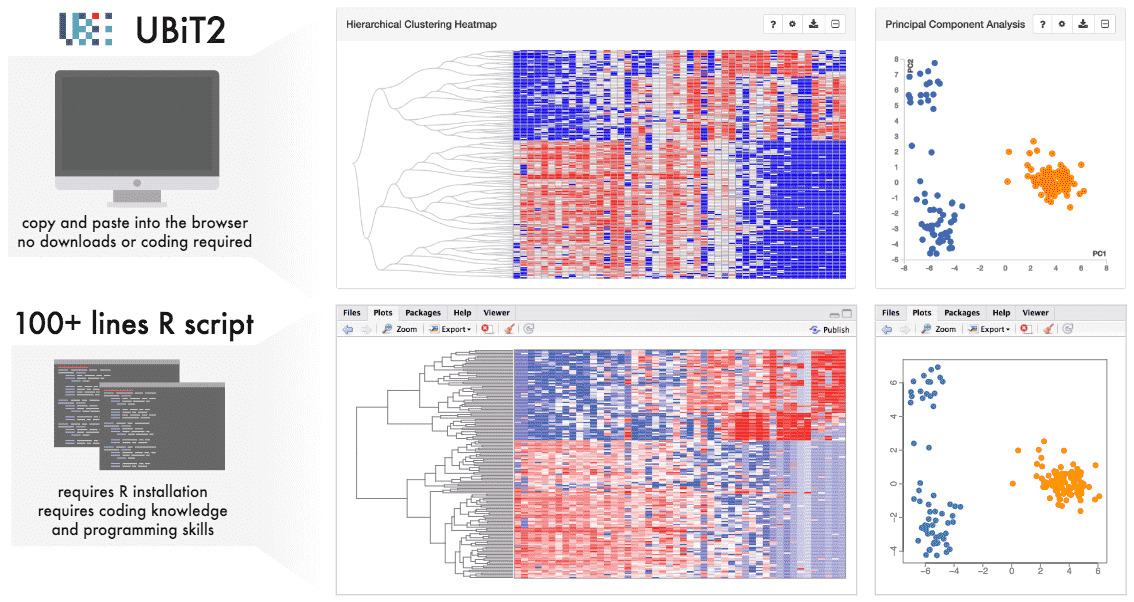 A figure which shows visualizations that can be created with the UBiT2 tool, a heatmap with a hierarchical tree, and a principal component analysis.