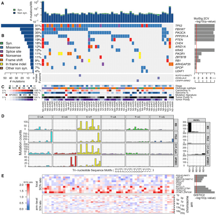 This multi-panel image presents comprehensive genomic and molecular data for a cancer type. It includes plots showing mutation counts, mutation types, and specific gene alterations across samples, as well as sequence motif analysis and gene expression patterns. The visualization effectively integrates various layers of genomic information to provide a detailed characterization of the cancer samples.