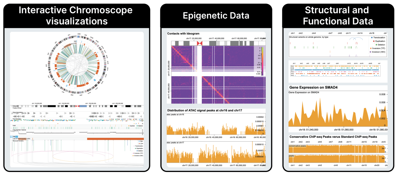 Examples of visualizations in the GQVis dataset include interactive chromoscope visualizations, epigenetic data, and structural and functional data.