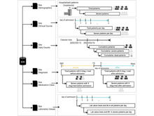 Publication page for "International comparisons of laboratory values from the 4CE collaborative to predict COVID-19 mortality"