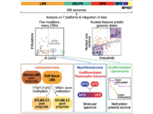 Publication page for "Comprehensive and Integrated Genomic Characterization of Adult Soft Tissue Sarcomas"