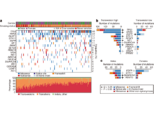 Publication page for "Comprehensive molecular profiling of lung adenocarcinoma"