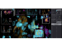 Publication page for "Cell2Cell: Explorative Cell Interaction Analysis in Multi-Volumetric Tissue Data"