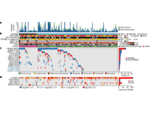 Publication page for "Integrated genomic and molecular characterization of cervical cancer"