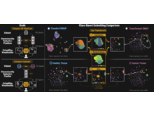 Publication page for "A General Framework for Comparing Embedding Visualizations Across Class-Label Hierarchies"