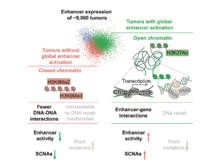 Publication page for "A Pan-Cancer Analysis of Enhancer Expression in Nearly 9000 Patient Samples"
