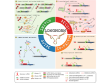 Publication page for "Pan-Cancer Analysis of lncRNA Regulation Supports Their Targeting of Cancer Genes in Each Tumor Context"