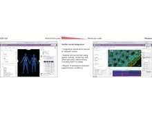 Publication page for "NIH SenNet Consortium to map senescent cells throughout the human lifespan to understand physiological health"