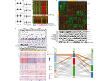 Publication page for "Genomic Classification of Cutaneous Melanoma"