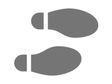 Publication page for "Don't Wear Your New Shoes (Yet): Taking the Right Steps to Become a Successful Principal Investigator"