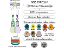 Publication page for "Scalable Open Science Approach for Mutation Calling of Tumor Exomes Using Multiple Genomic Pipelines"
