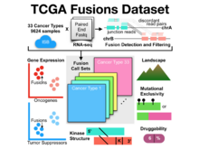 Publication page for "Driver Fusions and Their Implications in the Development and Treatment of Human Cancers"