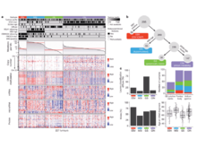 Publication page for "Comprehensive Molecular Characterization of Gastric Adenocarcinoma"