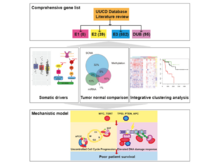 Publication page for "Integrated Genomic Analysis of the Ubiquitin Pathway across Cancer Types"