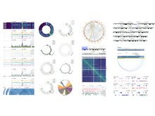 Publication page for "Gosling: A Grammar-based Toolkit for Scalable and Interactive Genomics Data Visualization"