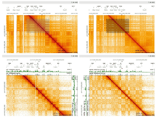 Publication page for "HiGlass: web-based visual exploration and analysis of genome interaction maps"