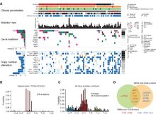 Publication page for "Integrative Molecular Characterization of Malignant Pleural Mesothelioma"