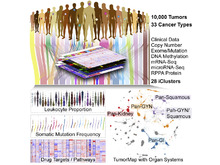 Publication page for "Cell-of-Origin Patterns Dominate the Molecular Classification of 10,000 Tumors from 33 Types of Cancer"