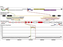 Publication page for "Characterization of HPV and Host-Genome Interactions in Primary Head and Neck Cancers"