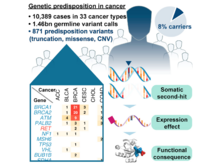 Publication page for "Pathogenic Germline Variants in 10,389 Adult Cancers"