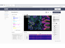 HuBMAP data portal. Screenshot of the interactive visualization tool, Vitessce, embedded on the HuBMAP Data Portal website. The image of Vitessce features 2D tissue data and interactive controls.