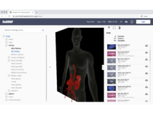 HuBMAP data portal CCF integration