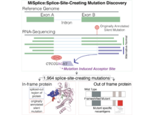 Publication page for "Systematic Analysis of Splice-Site-Creating Mutations in Cancer"