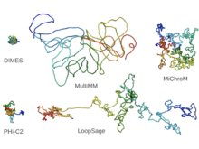 Publication page for "The‬‭ challenge‬‭ of‬‭ chromatin‬‭ model‬‭ comparison‬‭ and‬‭ validation‬‭ a‬‭ project‬‭ from‬‭ the‬ first international 4D Nucleome Hackathon‬"
