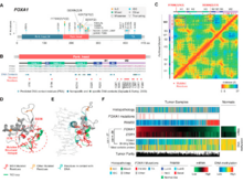Publication page for "Comprehensive Molecular Portraits of Invasive Lobular Breast Cancer"