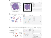Publication page for "EasyVitessce: auto-magically adding interactivity to Scverse single-cell and spatial biology plots"