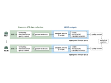 Publication page for "Acute respiratory distress syndrome after SARS-CoV-2 infection on young adult population: International observational federated study based on electronic health records through the 4CE consortium"