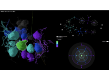 Publication page for "Nexus: Interactive Visual Exploration of 3D Spatial Connectivity for Tissue Analysis"