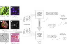Publication page for "OME-Zarr: a cloud-optimized bioimaging file format with international community support"