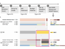 Publication page for "OncoThreads: Visualization of Large Scale Longitudinal Cancer Molecular Data"