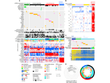 Publication page for "Comprehensive Molecular Characterization of Pheochromocytoma and Paraganglioma"