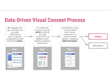The application utilizes machine learning to calculate risk and renders a visualization based on patient preferences.