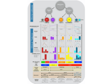 Publication page for "Molecular Profiling Reveals Biologically Discrete Subsets and Pathways of Progression in Diffuse Glioma"
