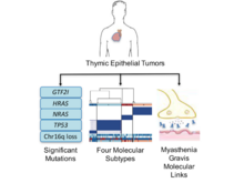 Publication page for "The Integrated Genomic Landscape of Thymic Epithelial Tumors"